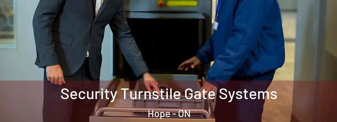  Security Turnstile Gate Systems Hope - ON