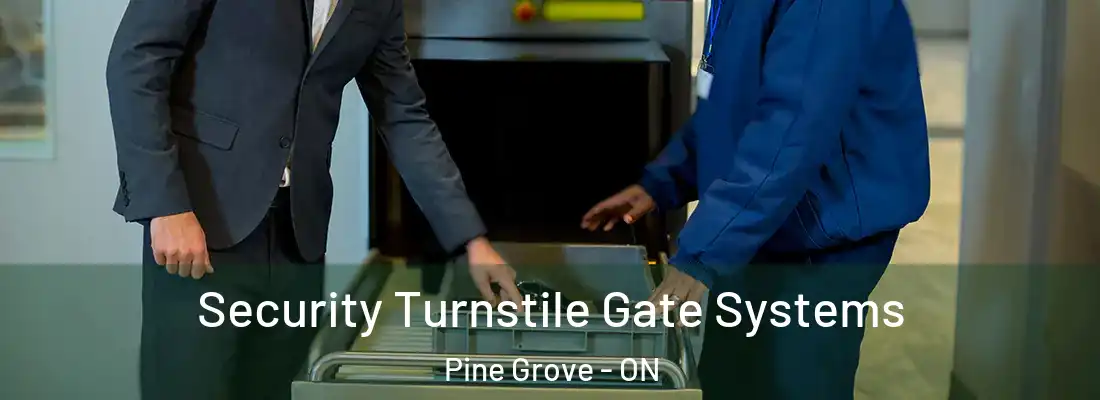  Security Turnstile Gate Systems Pine Grove - ON