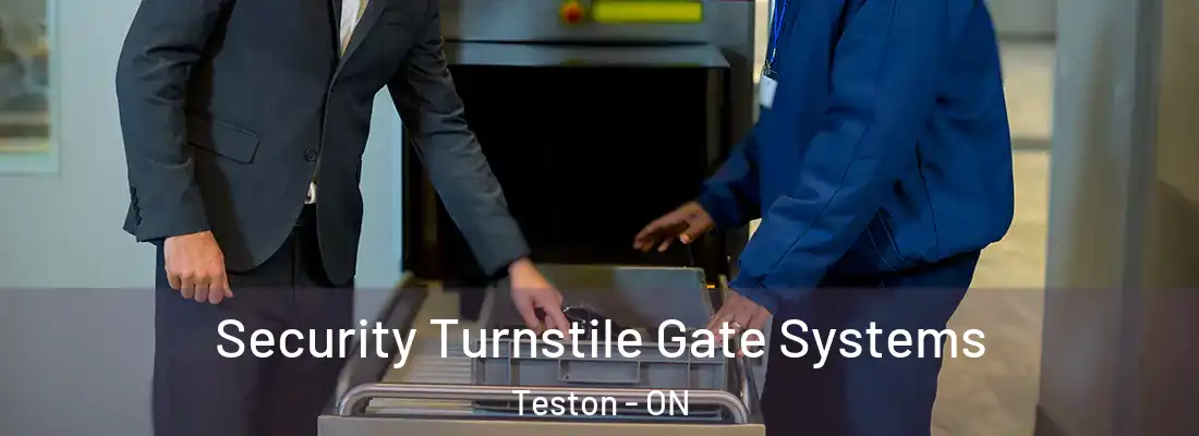  Security Turnstile Gate Systems Teston - ON
