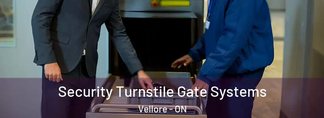  Security Turnstile Gate Systems Vellore - ON