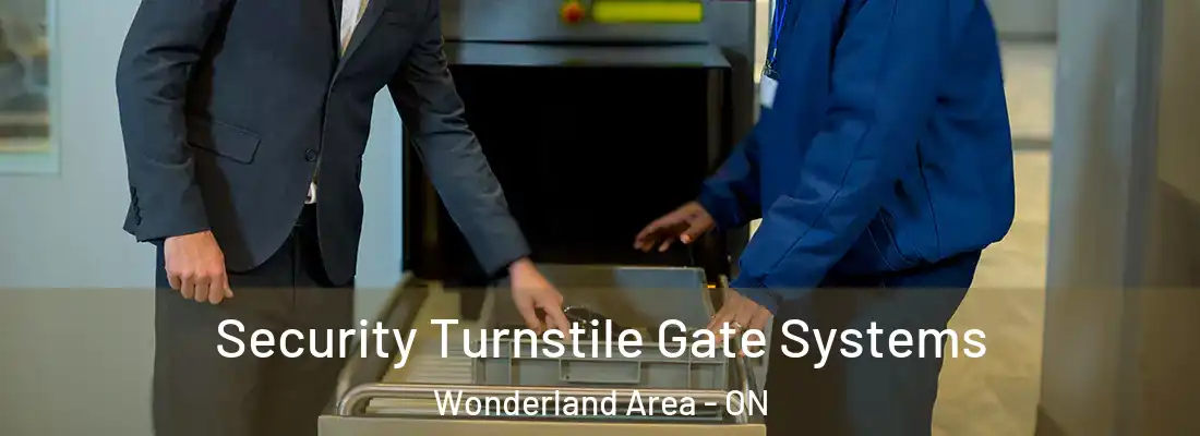  Security Turnstile Gate Systems Wonderland Area - ON