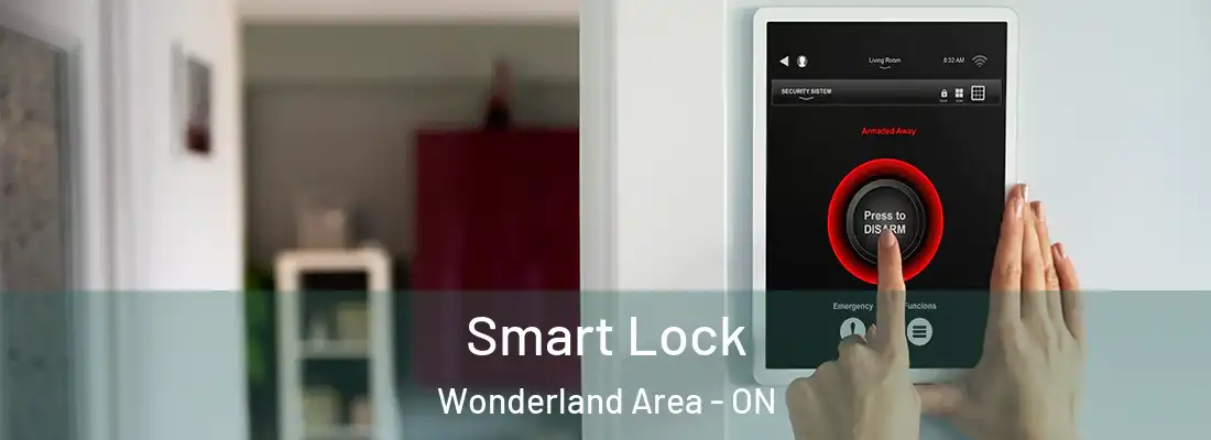  Smart Lock Wonderland Area - ON