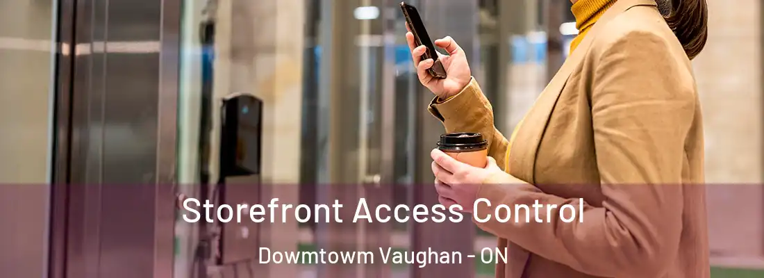  Storefront Access Control Dowmtowm Vaughan - ON