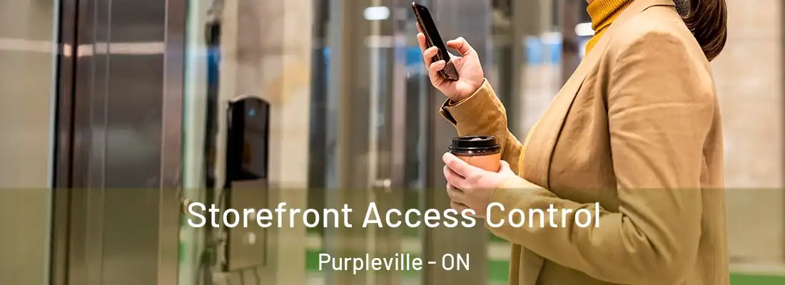  Storefront Access Control Purpleville - ON