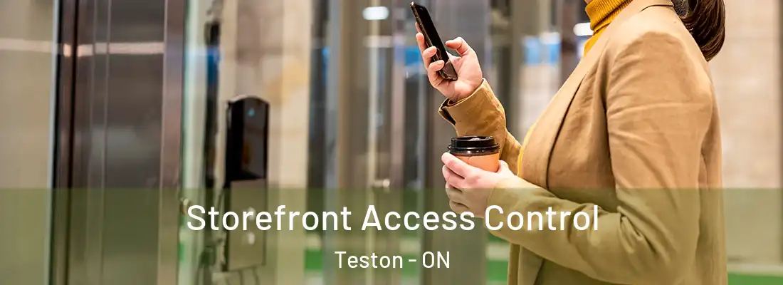  Storefront Access Control Teston - ON