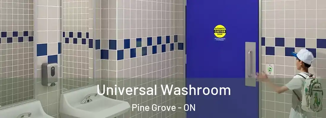  Universal Washroom Pine Grove - ON