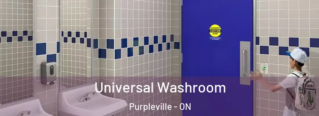  Universal Washroom Purpleville - ON