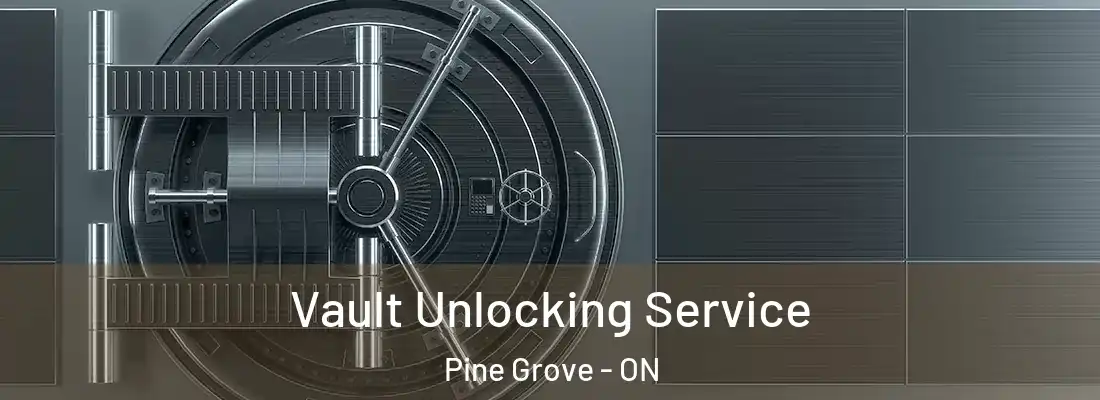  Vault Unlocking Service Pine Grove - ON