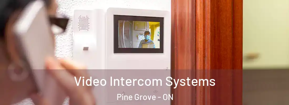  Video Intercom Systems Pine Grove - ON