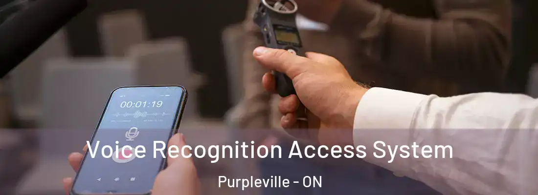  Voice Recognition Access System Purpleville - ON