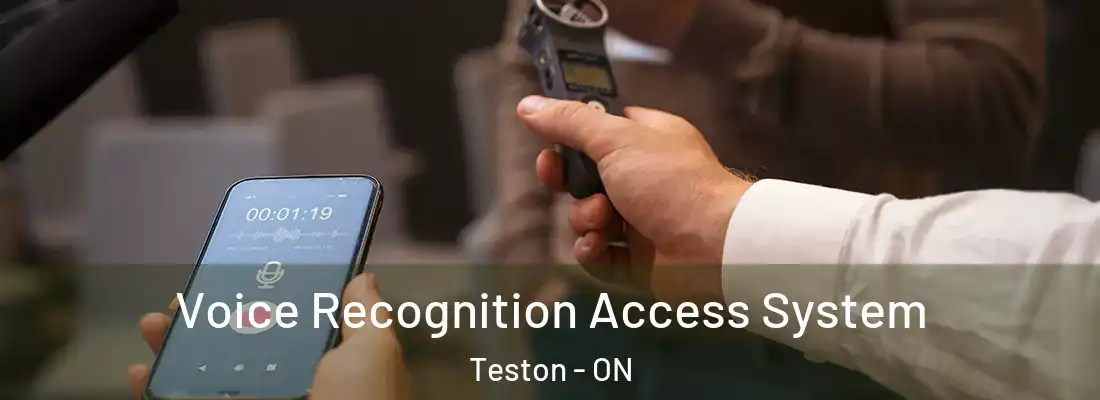  Voice Recognition Access System Teston - ON