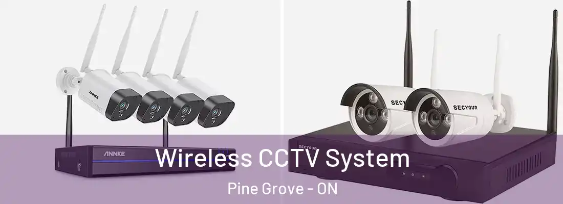  Wireless CCTV System Pine Grove - ON